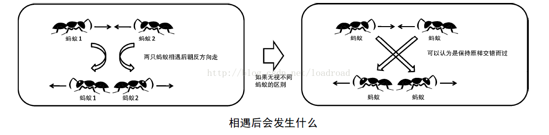 蚂蚁感冒（c++， 易懂）