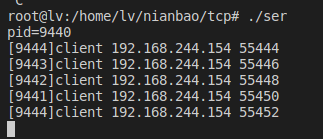 TCP网络编程之静态进程池