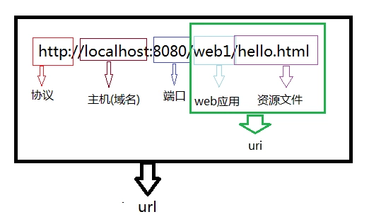 网址