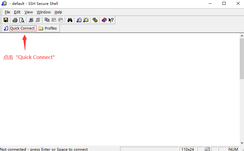 点击“Quick Connect”