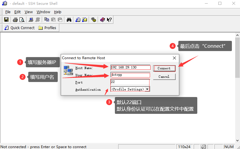填写服务器IP，用户名并点击“Connect”
