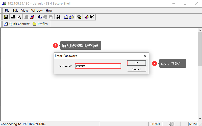 输入服务器用户密码