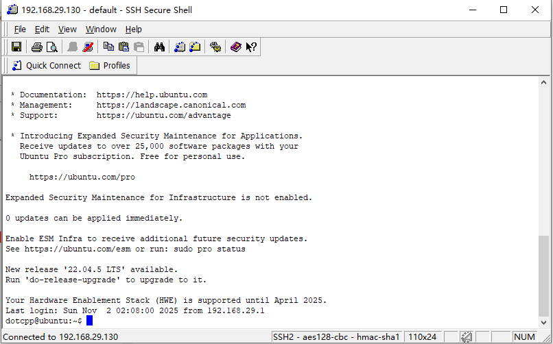  成功连接服务器终端