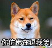 u=3429520916,747756894&fm=27&gp=0.jpg